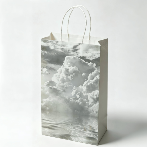 paper bag1