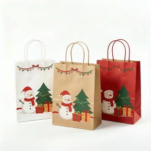 paper bag12