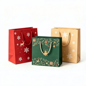 paper bag16