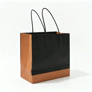 paper bag2